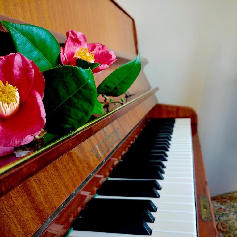 Pianoforte - Appartamento con Vista Lago - 9