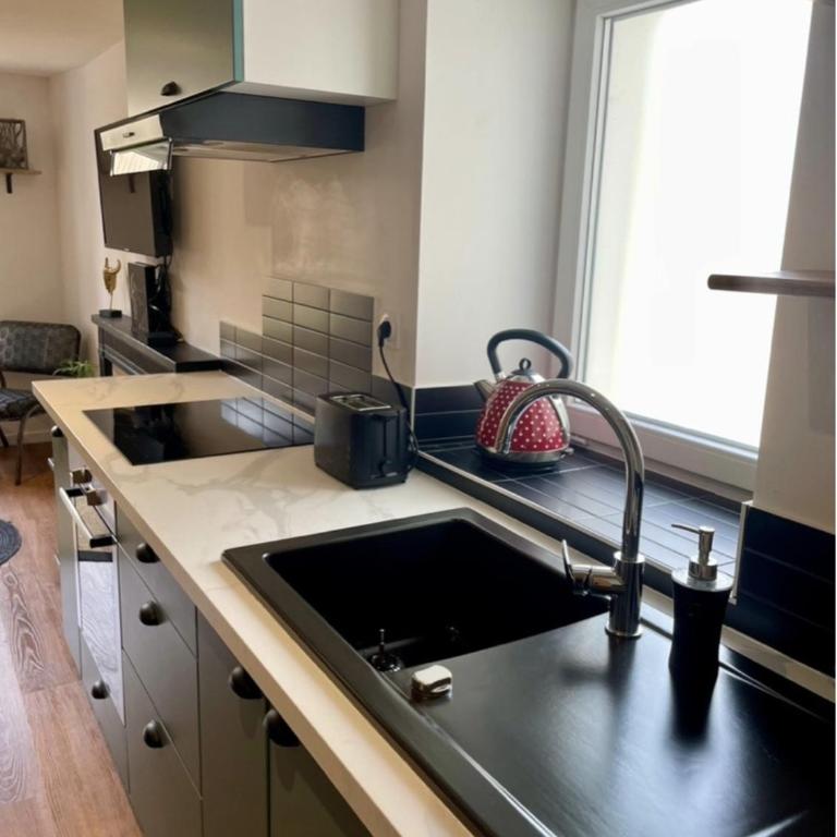 Les Appartements du Pont Joubert - Appartement 2 Chambres avec Terrasse - 17