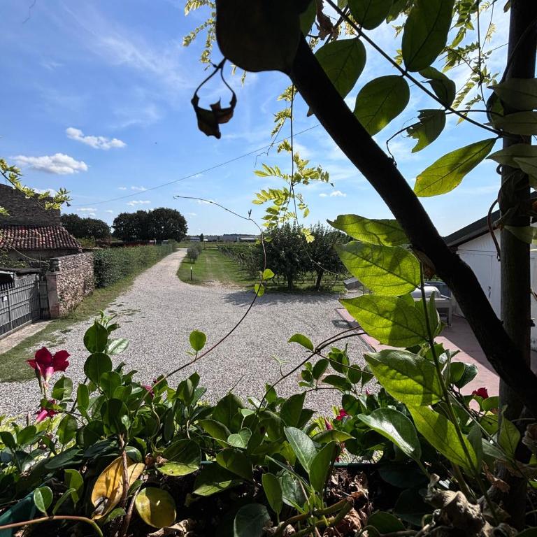 Agriturismo I Mischi - Camera Matrimoniale/Doppia con Letti Singoli - 8