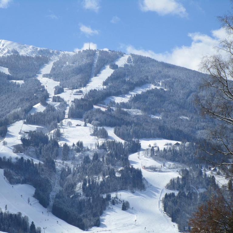 Appartment Stiegler - Apartment mit Blick auf die Berge - 20