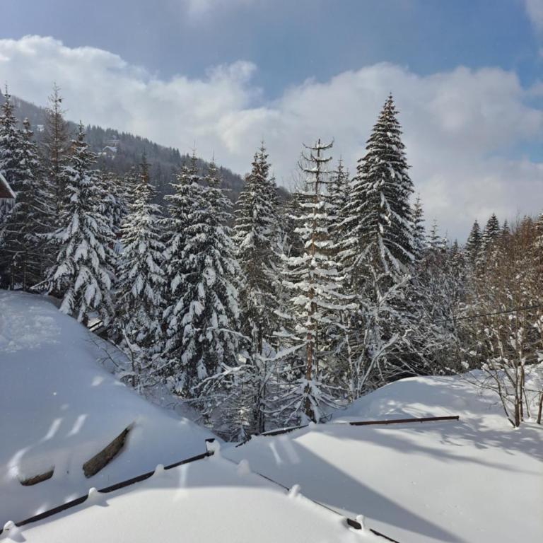 Kopaonik apartman 11 - Apartman sa 1 Spavaćom Sobom - 20