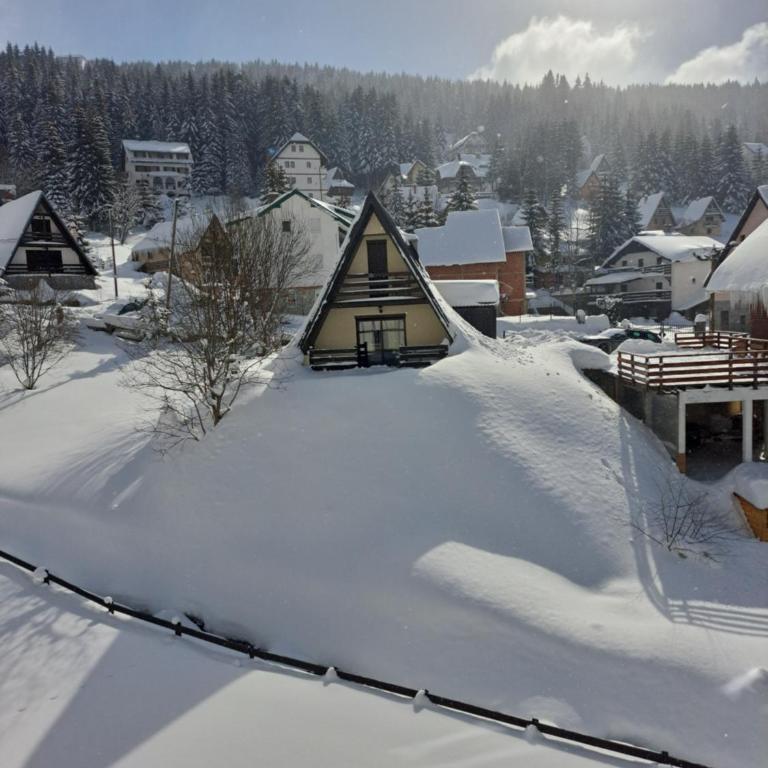 Kopaonik apartman 11 - Apartman sa 1 Spavaćom Sobom - 21