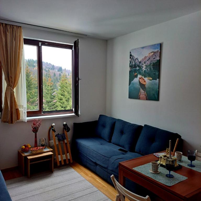 Kopaonik apartman 11 - Apartman sa 1 Spavaćom Sobom - 3