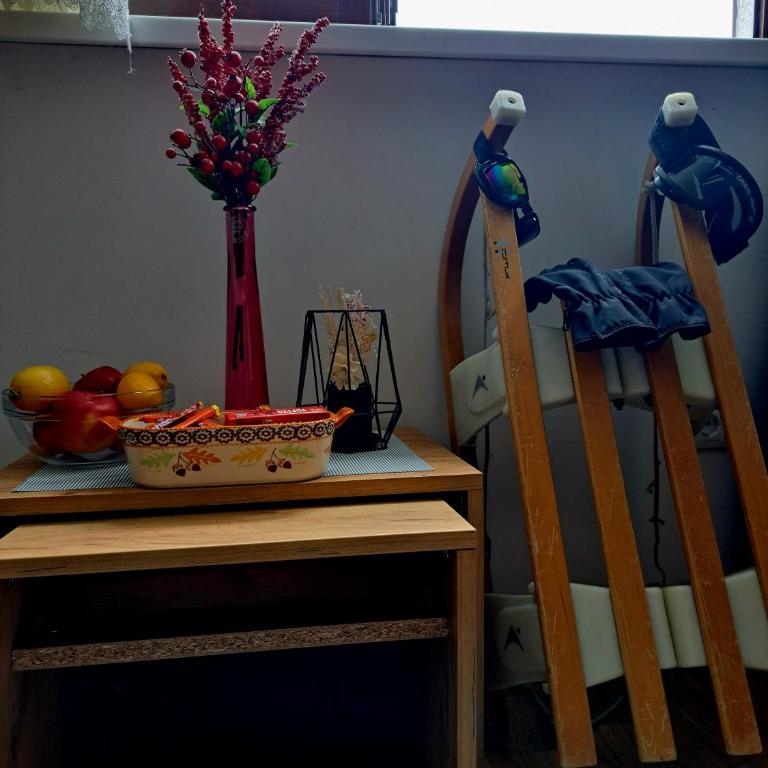 Kopaonik apartman 11 - Apartman sa 1 Spavaćom Sobom - 16