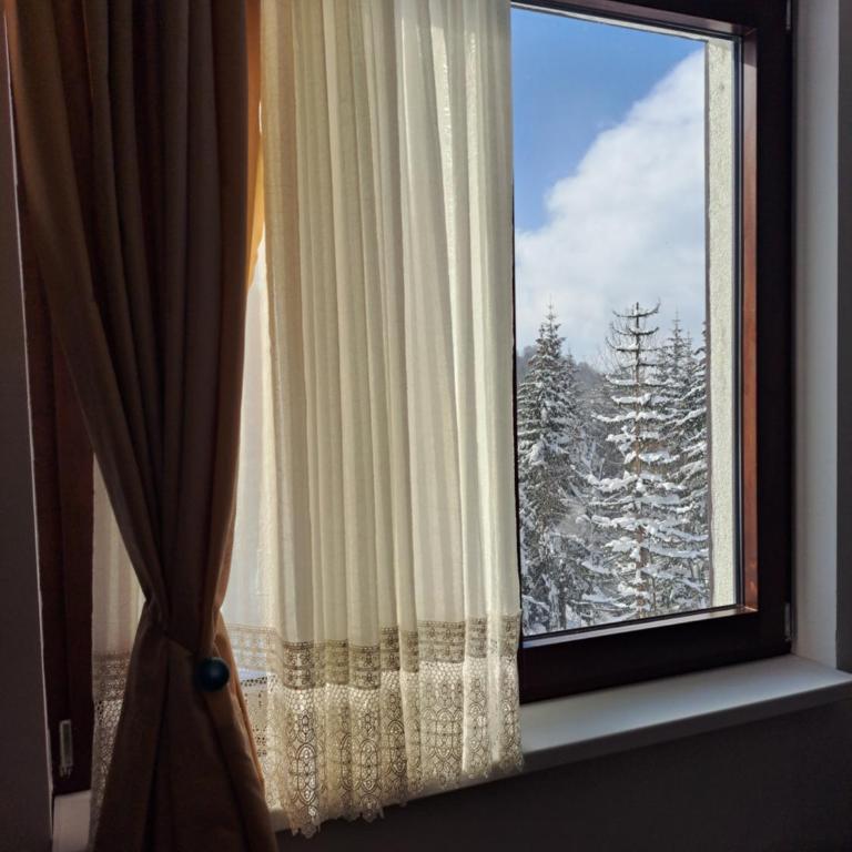 Kopaonik apartman 11 - Apartman sa 1 Spavaćom Sobom - 18