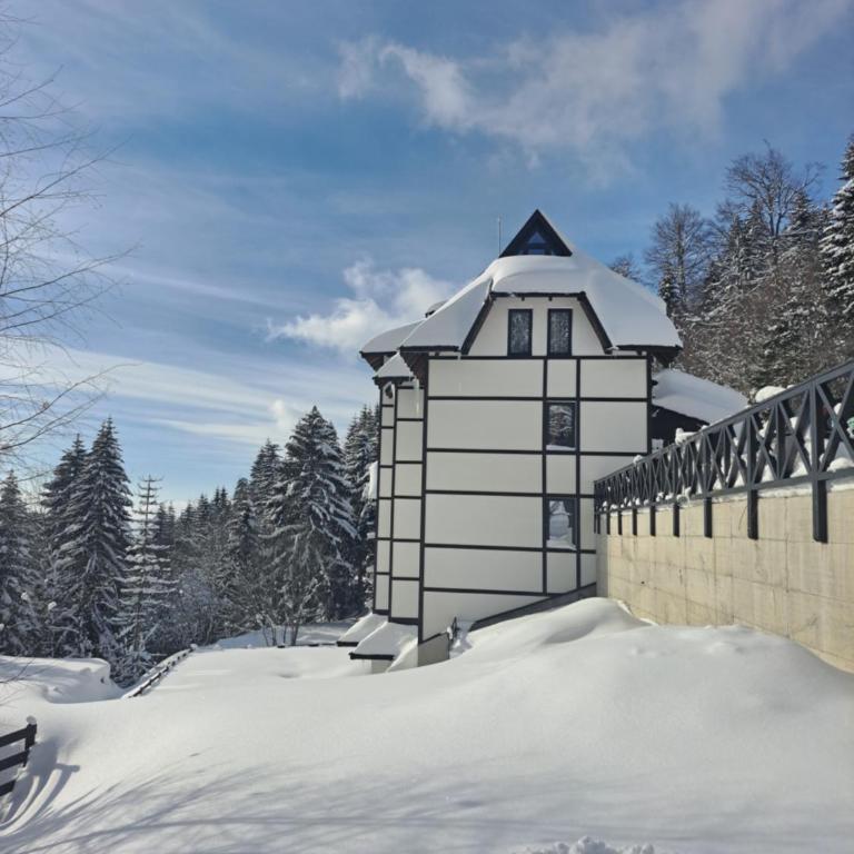 Kopaonik apartman 11 - Apartman sa 1 Spavaćom Sobom - 23
