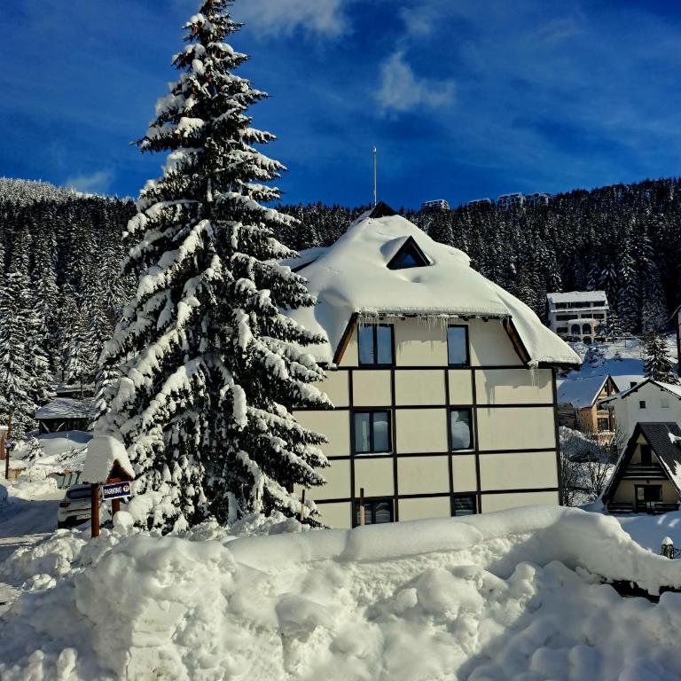 Kopaonik apartman 11 - Apartman sa 1 Spavaćom Sobom - 25