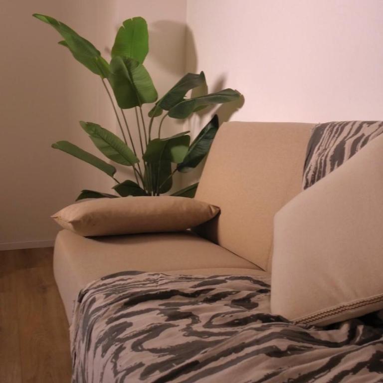 Bellini Charm Apartments - Apartment - Ground Floor - 9