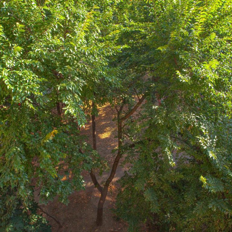 Apartment Lea - Apartman sa Terasom - 17