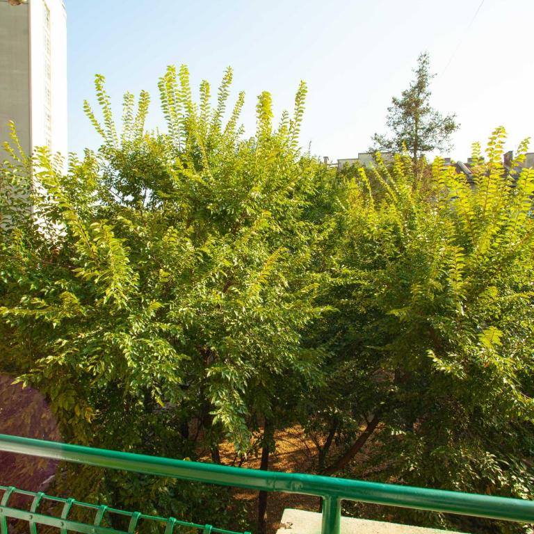 Apartment Lea - Apartman sa Terasom - 16