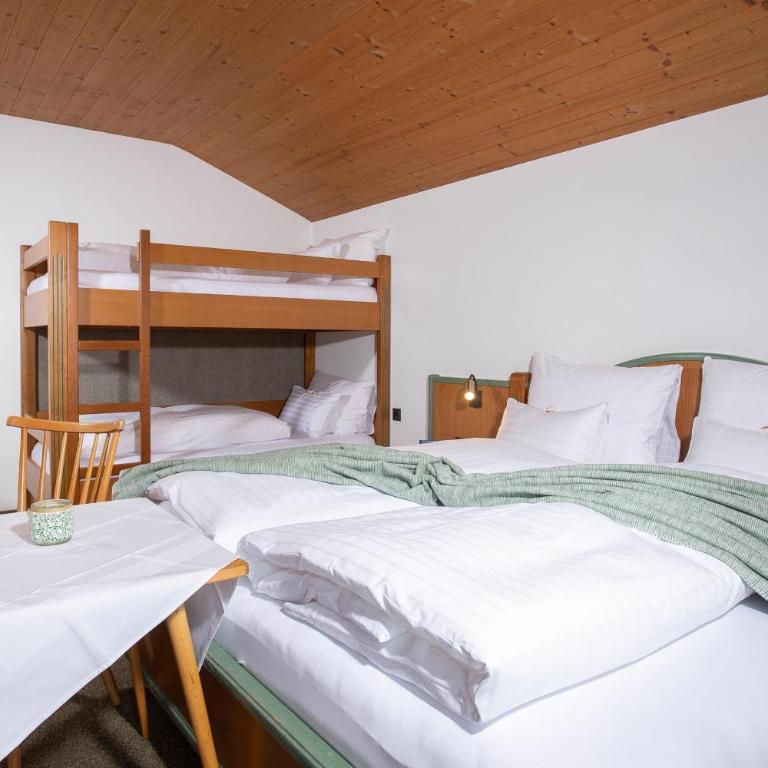 Wiesenau, Ferienhaus - Holiday Home with Bath - 25