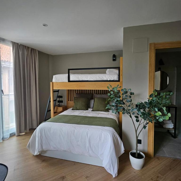 ZALLE OVIEDO SUITES - Apartamento de 1 dormitorio - 4