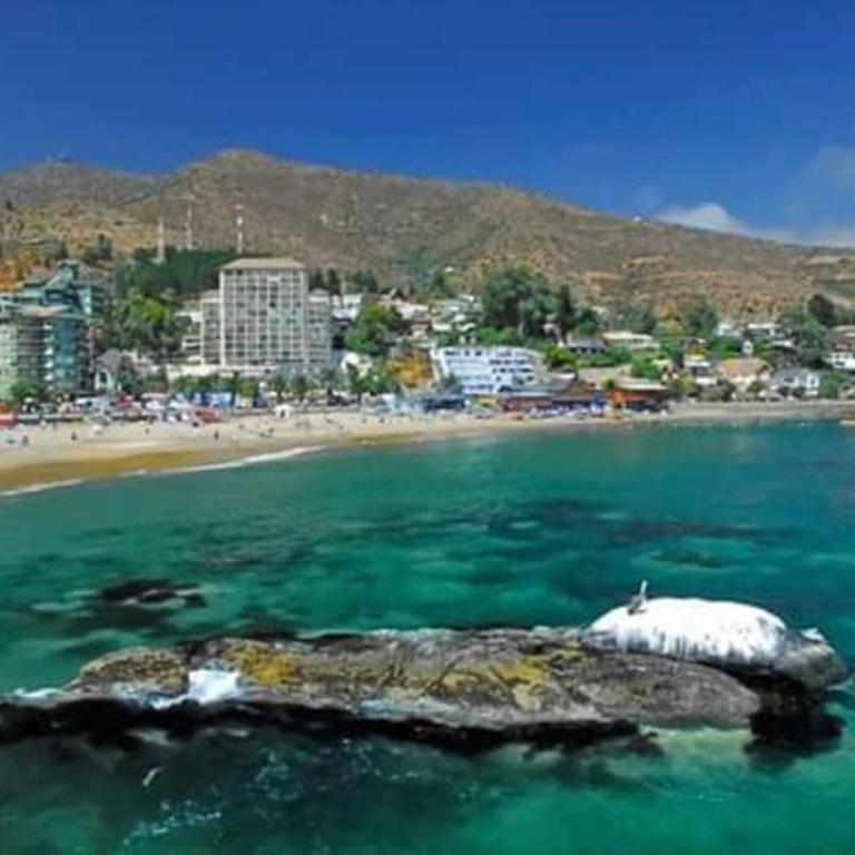 Papudo departamento full equipado - Three-Bedroom Apartment - 47