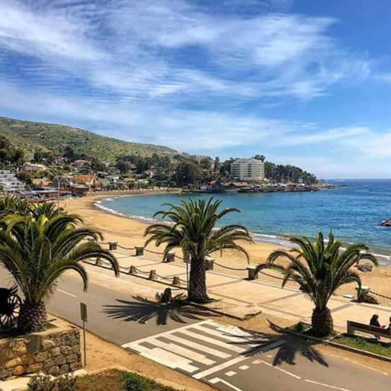 Papudo departamento full equipado - Three-Bedroom Apartment - 44