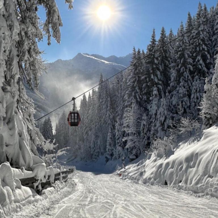 Chalet apartment in Bad Gastein - Appartamento con 3 Camere da Letto - 22