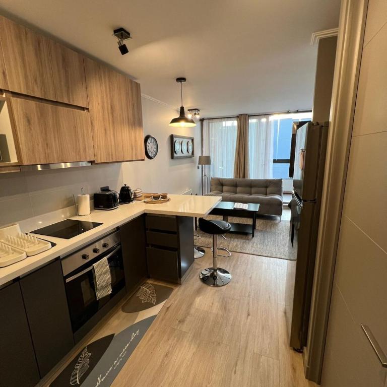 Acogedor céntrico full departamento condominio origen nuevo en pucón - Apartamento de 1 dormitorio - 13