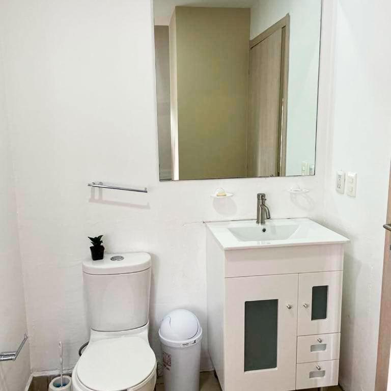 carso alameda - Apartamento de 1 dormitorio - 7