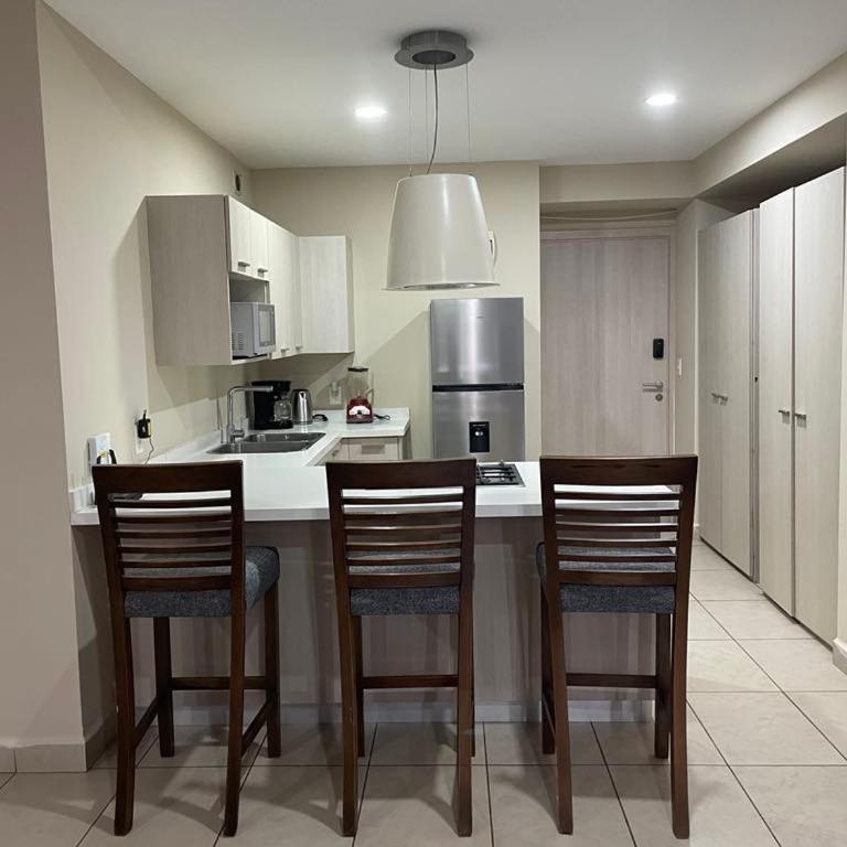 carso alameda - Apartamento de 1 dormitorio - 9