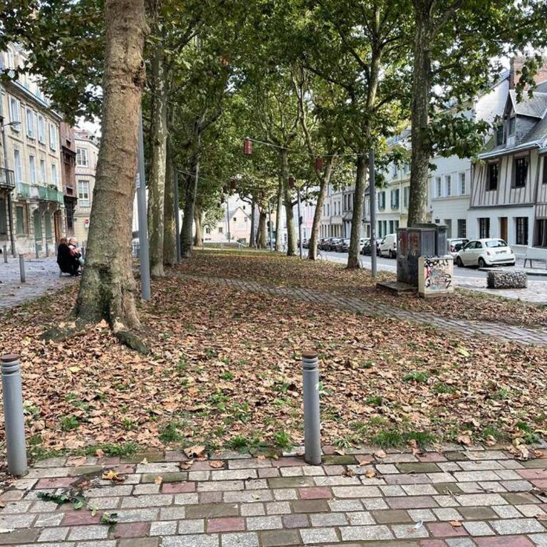 Appartement Rougemare - Apartment mit 1 Schlafzimmer - 9