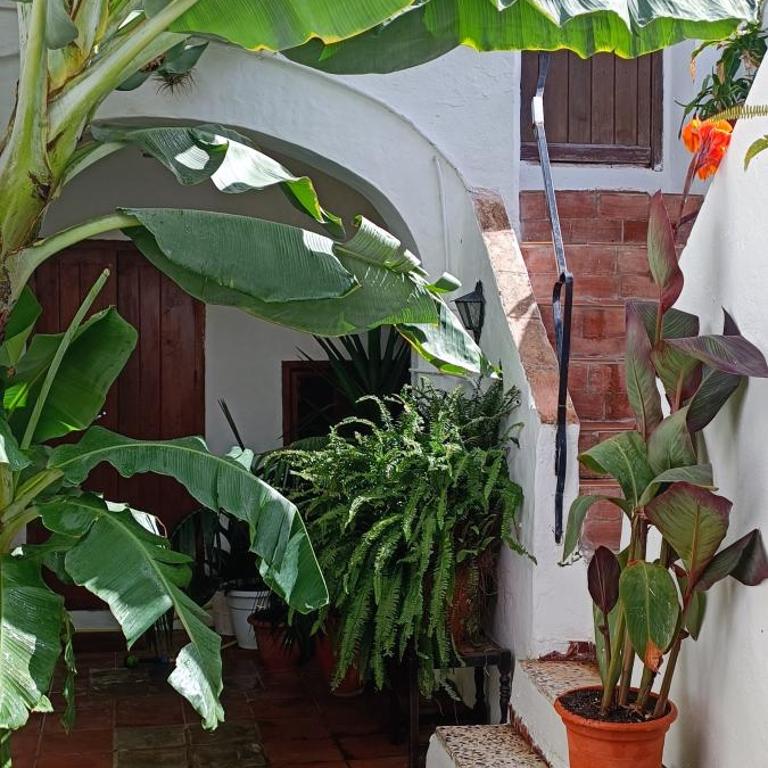 The best in the center of Tarifa - Apartamento con terraza - 3