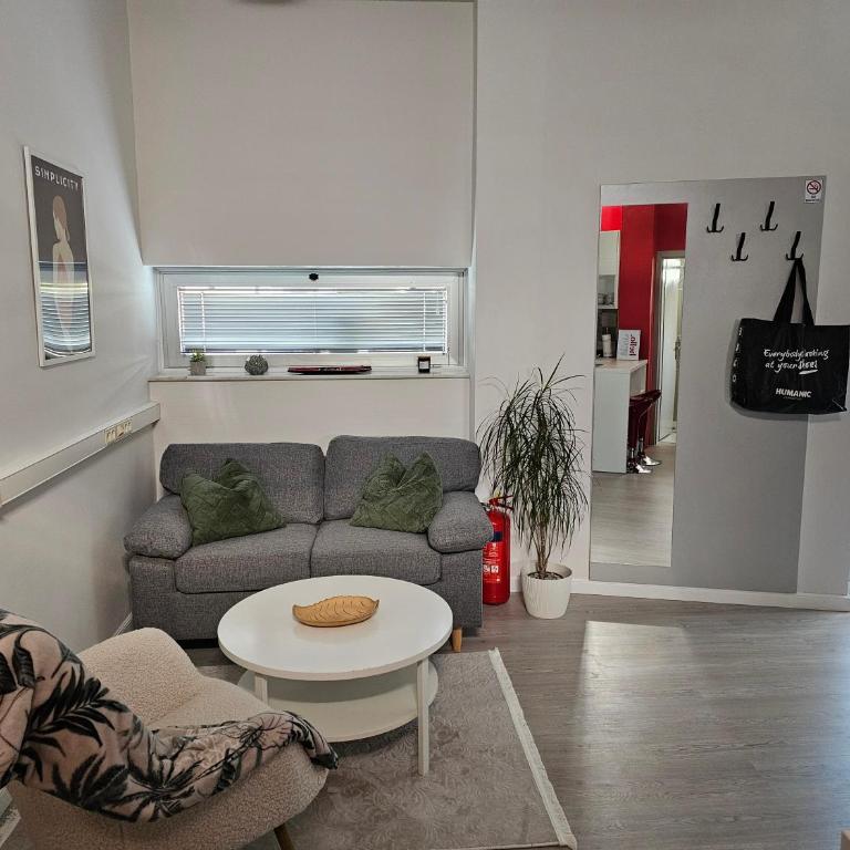 Apartmani EMA Bihać - Deluxe Double Studio - 13