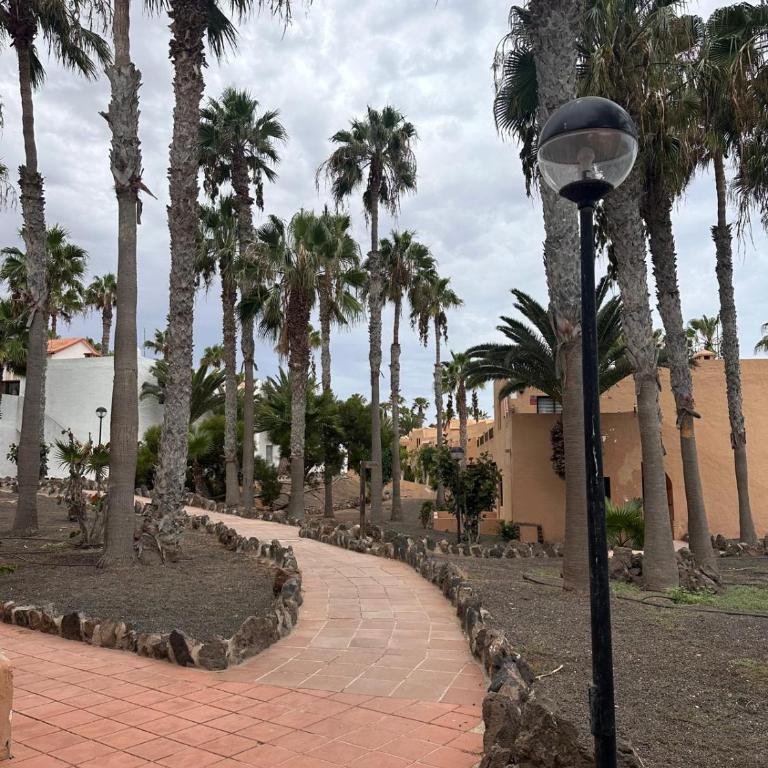 Casa Dunas Oasis - Apartamento de 1 dormitorio - 90