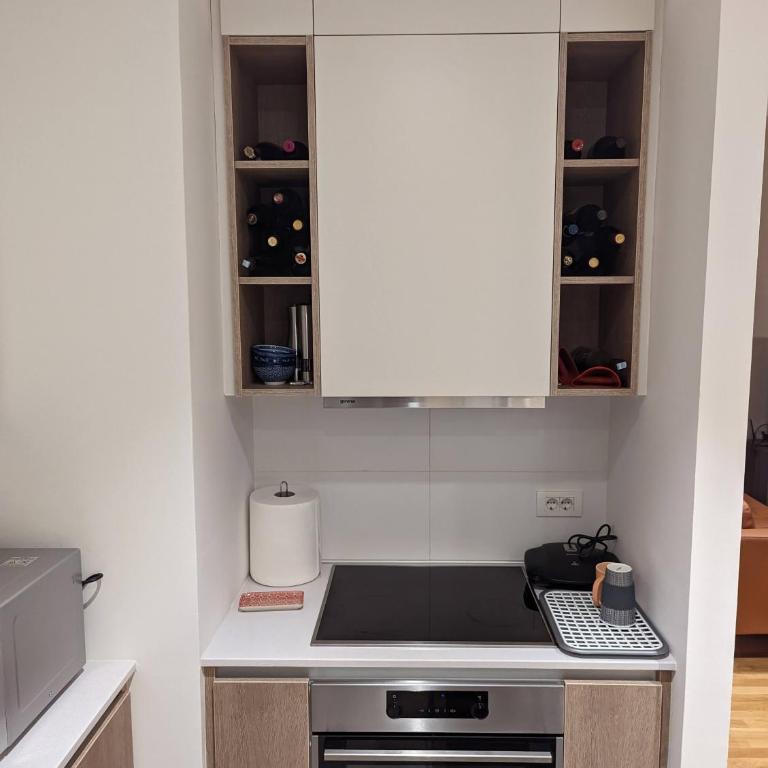 Luxury Belgrade Waterfront top floor Apt with an amazing view - Two-Bedroom Apartment - 30