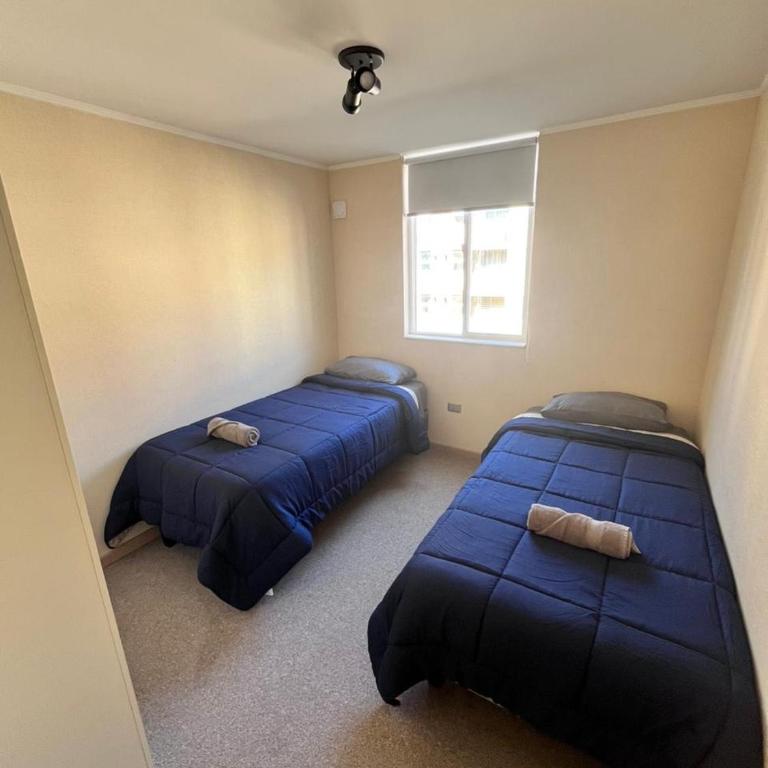 Departamento en Villarrica - Apartamento Estándar de 2 dormitorios - 12