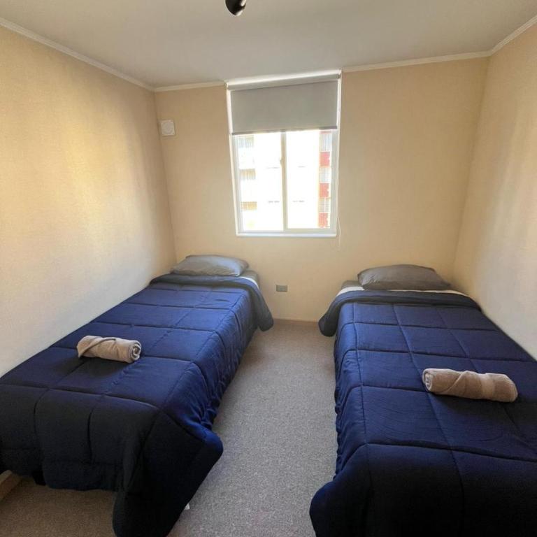 Departamento en Villarrica - Apartamento Estándar de 2 dormitorios - 13