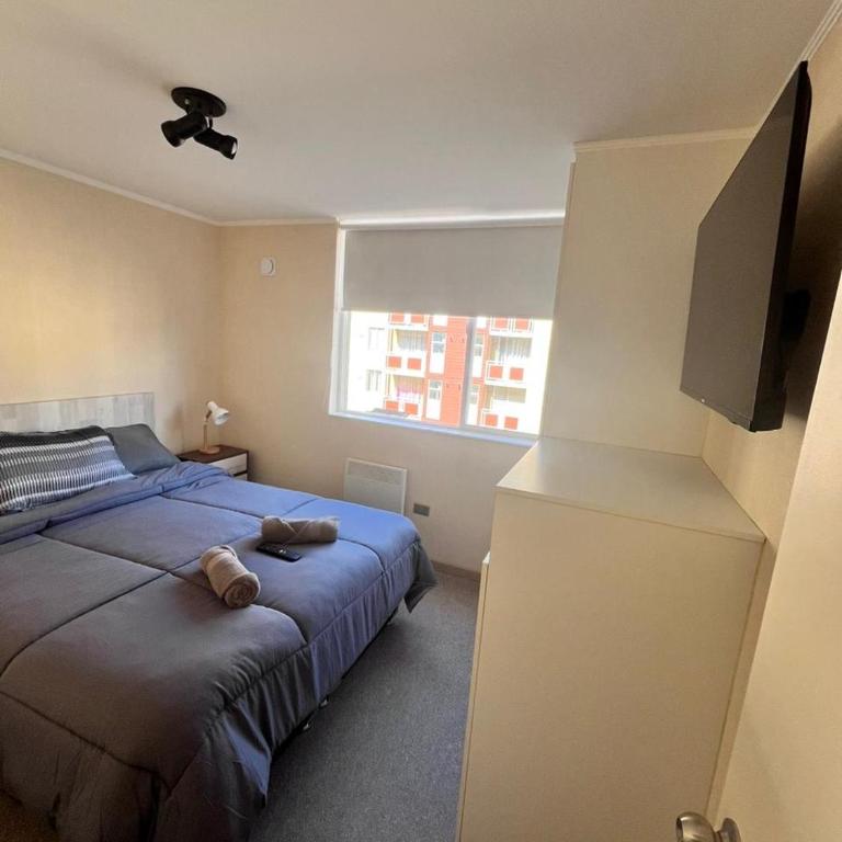 Departamento en Villarrica - Apartamento Estándar de 2 dormitorios - 11