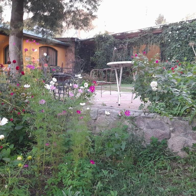 Apart & cabañas Duendes del Pungo - Bungalow con vistas al jardín - 5