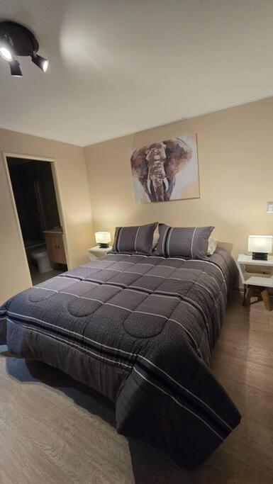 Dpto Nuevo Centro Osorno - Apartamento de 1 dormitorio - 1