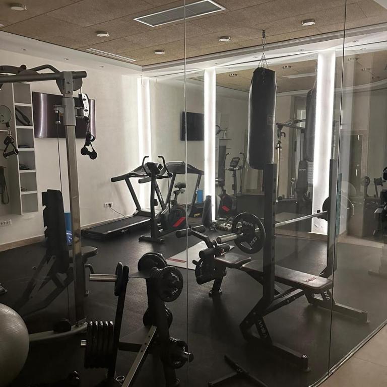 Unique Premium Penthouse with Spa and Gym in Dedinje - Apartman sa Pogledom na Grad - 60