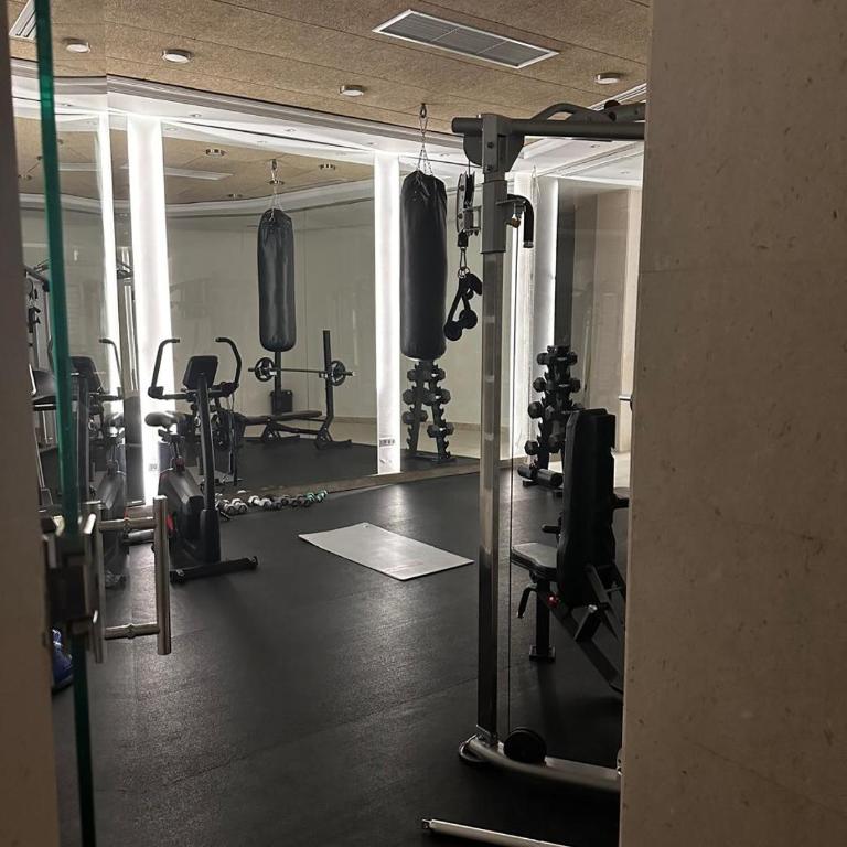 Unique Premium Penthouse with Spa and Gym in Dedinje - Apartman sa Pogledom na Grad - 62