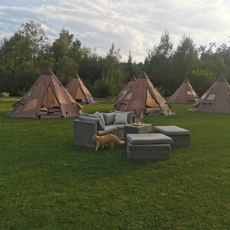 Privat Glamping Spielberg - Tenda - 5