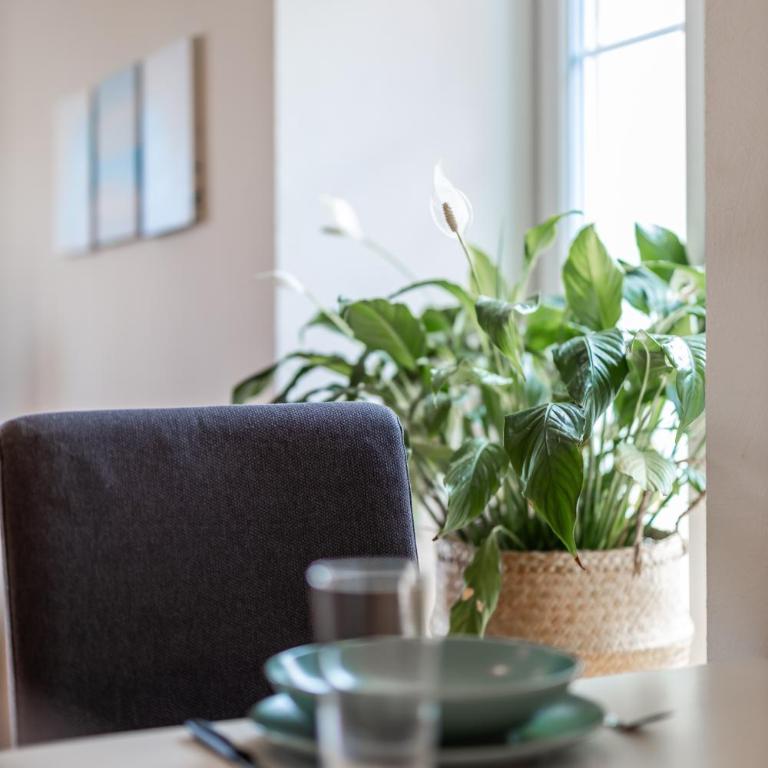 Aloha Appartement de vacances au Bouveret - Apartment mit 1 Schlafzimmer - 10
