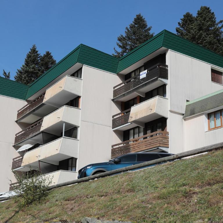 Le Carbet des Oursons - Appt à Bresse vue montagne - Appartement 1 Chambre - 12