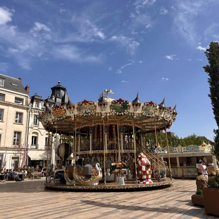 ORLEANS CENTRE HISTORIQUE - Charmant T2 - L'EVASION ORLEANAISE - Appartement 1 Chambre - 25