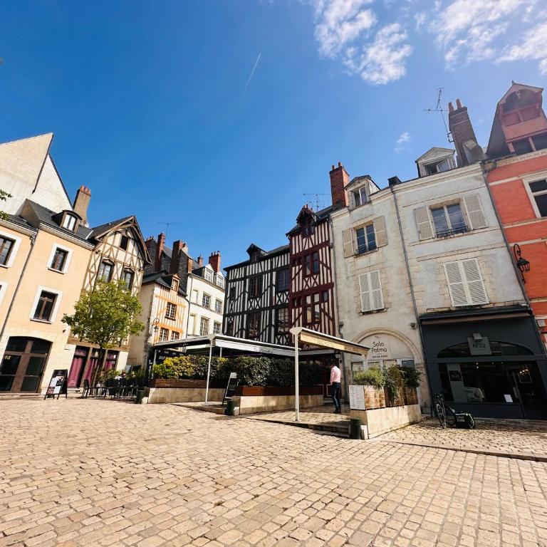 ORLEANS CENTRE HISTORIQUE - Charmant T2 - L'EVASION ORLEANAISE - Appartement 1 Chambre - 27