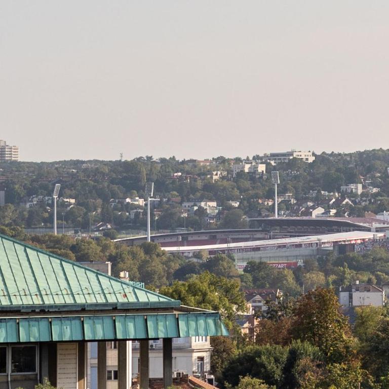 Hram Vracar - Apartman sa 1 Spavaćom Sobom - 40