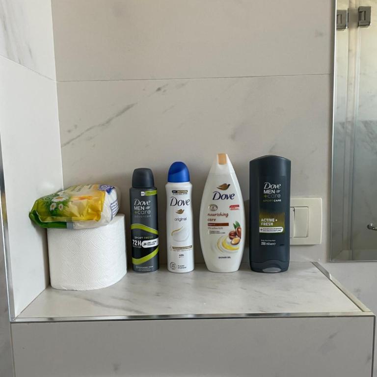 Hram Vracar - Apartman sa 1 Spavaćom Sobom - 28