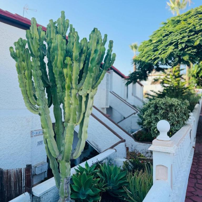 Miraverde Oasis Costa Adeje - Apartamento - 31