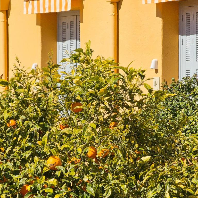 Hôtel La Pérouse Nice Baie des Anges - Chambre Double Supérieure - Vue sur Jardin ou Cour - 3