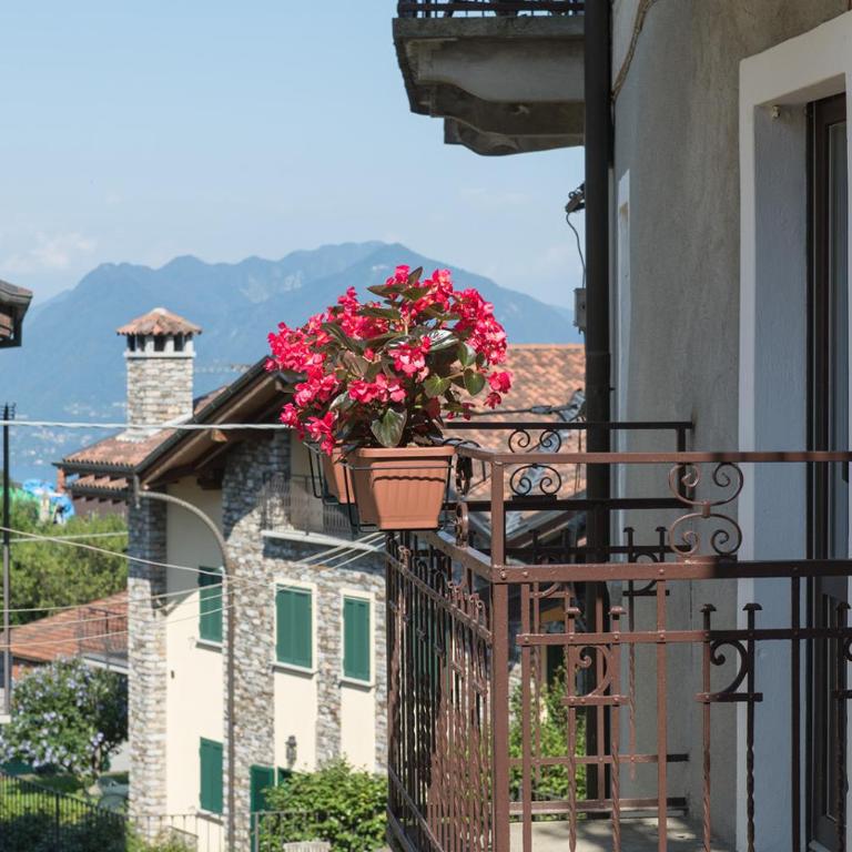 Stresa Complex LevOasi - Appartamento con 2 Camere da Letto - 9