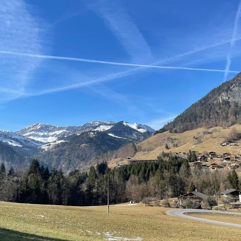 Appt 4 pers, pied des pistes - Appartamento con 1 Camera da Letto - 15