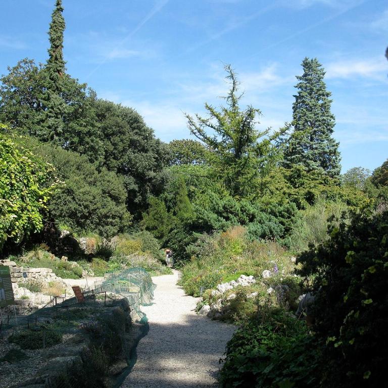 Appartement très haut avec Piscine, sauna, salle de sport et solarium - Appartement 1 Chambre - 43