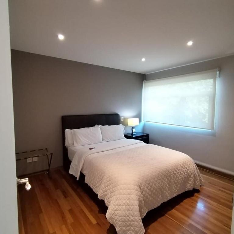 Arquimedes Light I Chic 1BR in Polanco - Apartment - 9