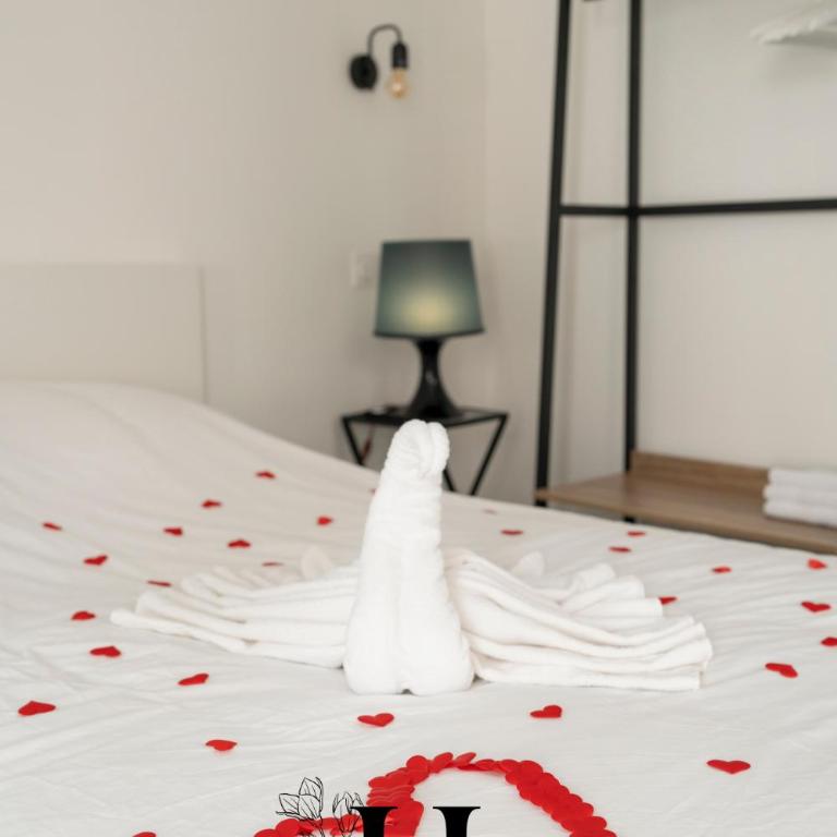 Magnifique Suite Luxe Jacuzzi Centre ville Nancy - Appartement 1 Chambre - 3
