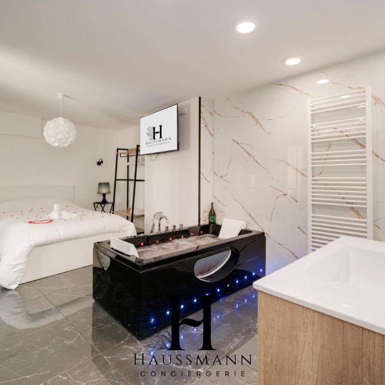 Magnifique Suite Luxe Jacuzzi Centre ville Nancy - Appartement 1 Chambre - 1