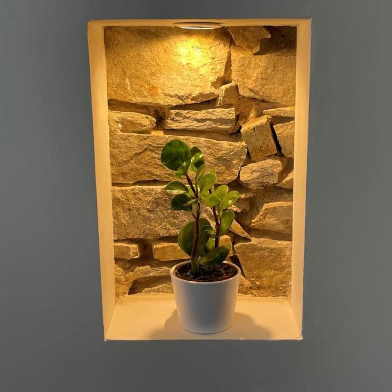 Maisonnette à Arago - Maison 1 Chambre - 7